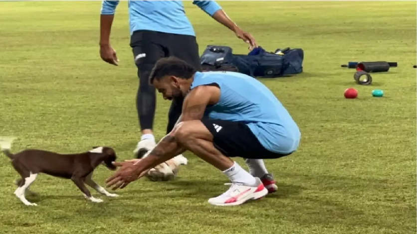 Virat Kohli Plays With Puppy During Asia Cup 2023 Practice - Video Wins Hearts