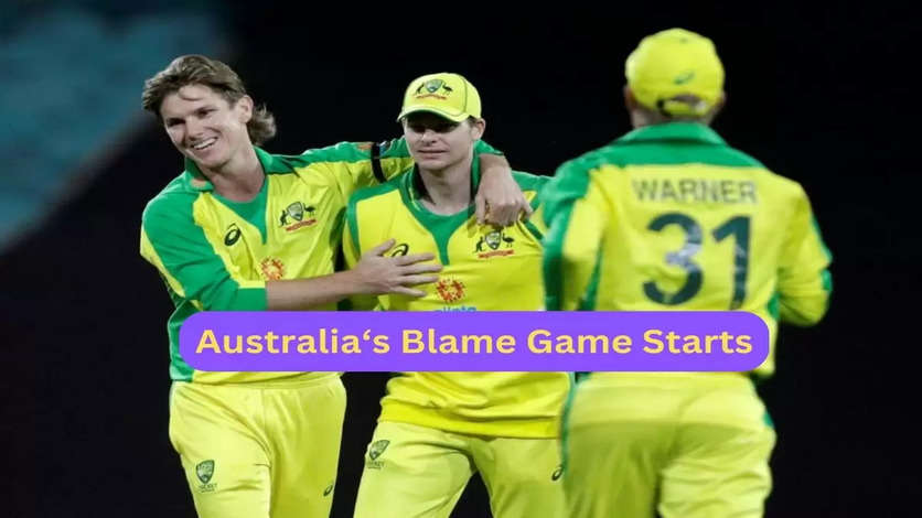 Blame Game In Australian Camp After Series Defeat Against Team India, Steve Smith Says THIS