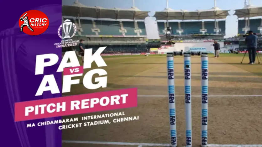 PAK vs AFG Pitch Report: How will surface at MA Chidambaram Stadium in Chennai play in World Cup's 22nd match?